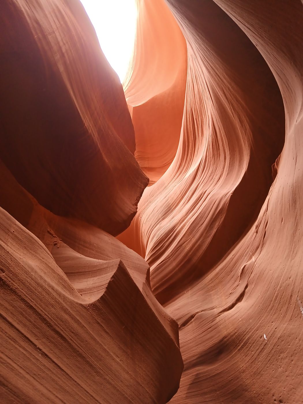 Ken's tours, USA