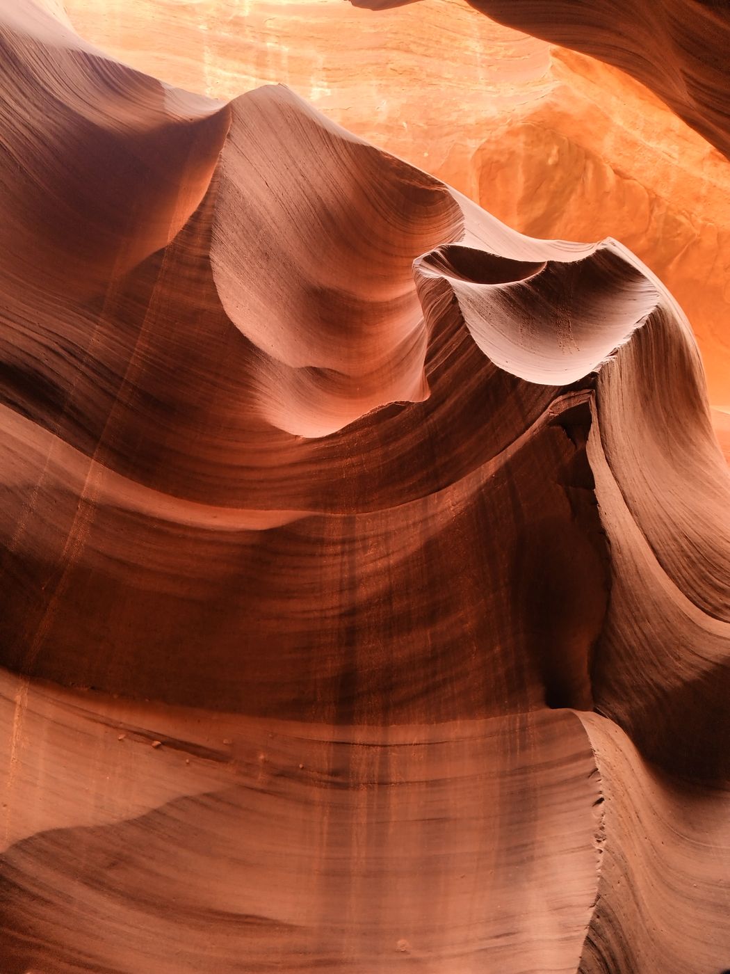 Ken's tours, USA