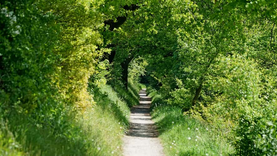 Leinemasch, Hannover