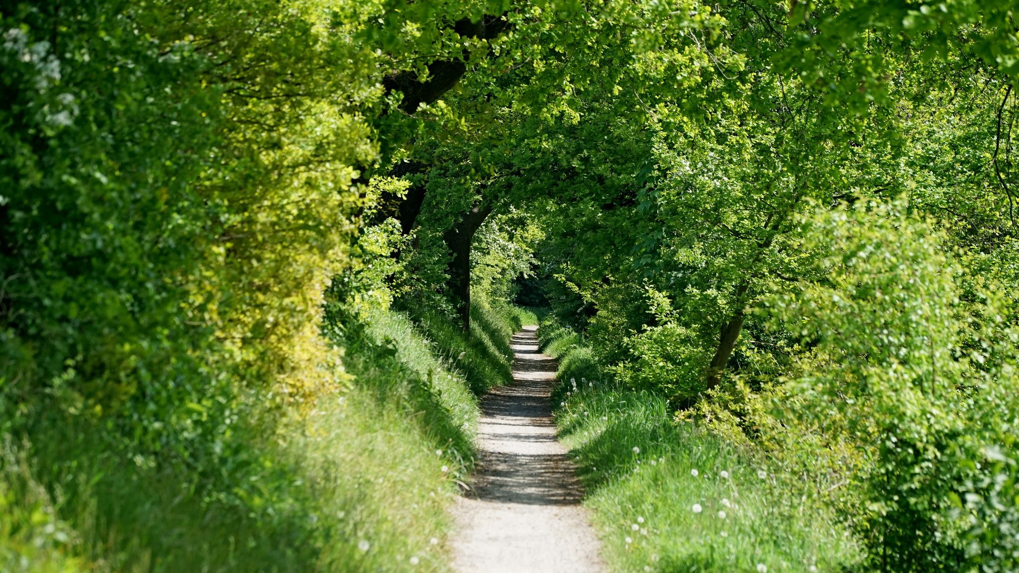 Leinemasch, Hannover, Germany