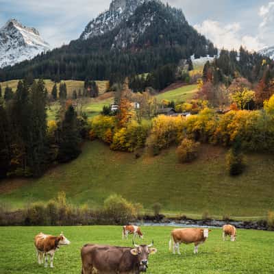 Nolle in Kiental, Switzerland