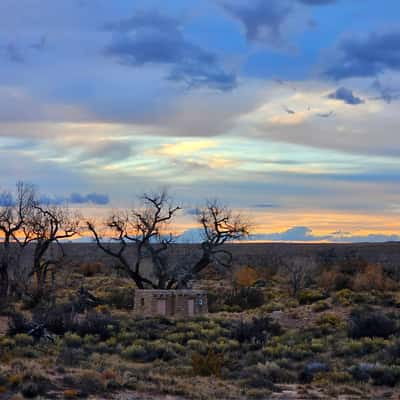 Petrified Forest, USA