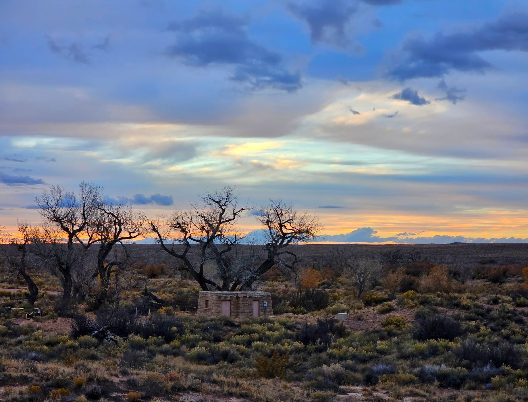 Petrified Forest, USA