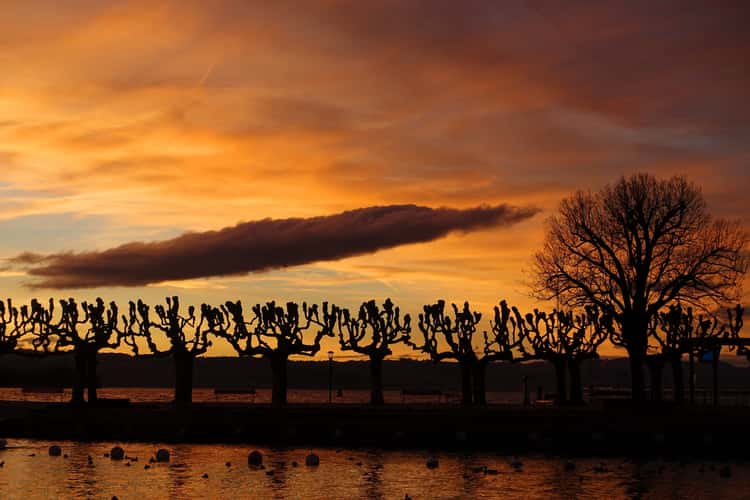 Rapperswil-Jona Harbour