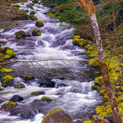 Rush Creek, USA