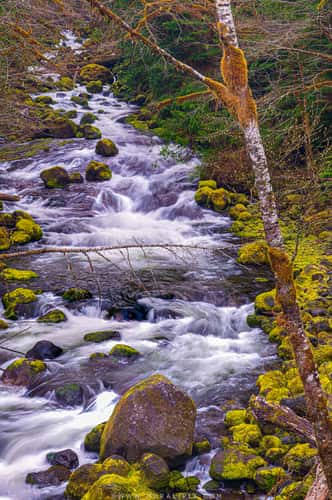 Rush Creek