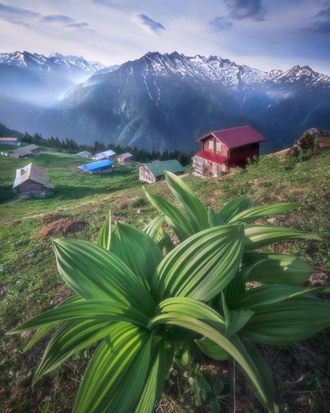 Sal Yaylası, Turkey (Türkiye)