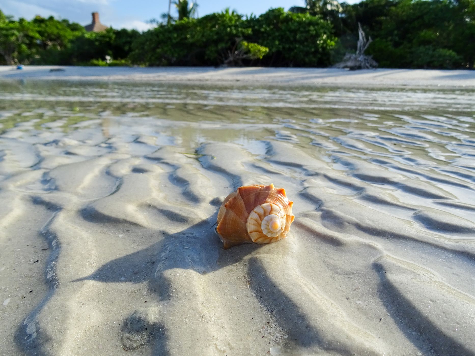 Sanibel Island, USA