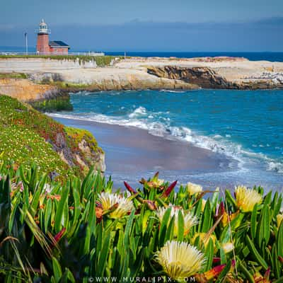 Santa Cruz Surfing Museum, USA