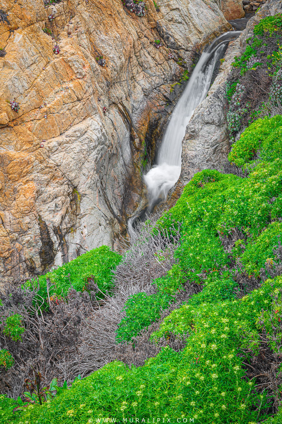 Soberanes Creek Falls, USA