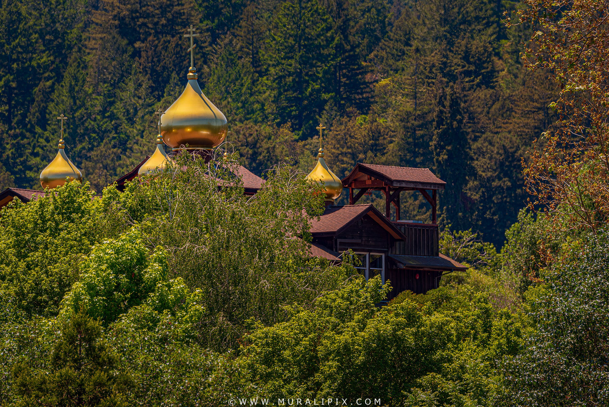 St. Lawrence Christian Orthodox Church, USA