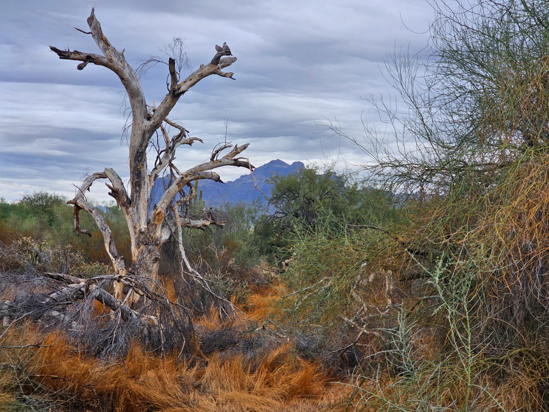 Superstition Mountains, USA