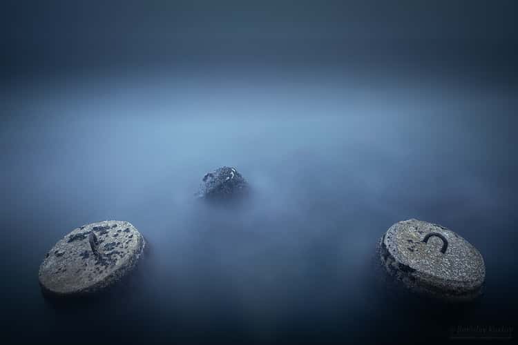 Tetrapods