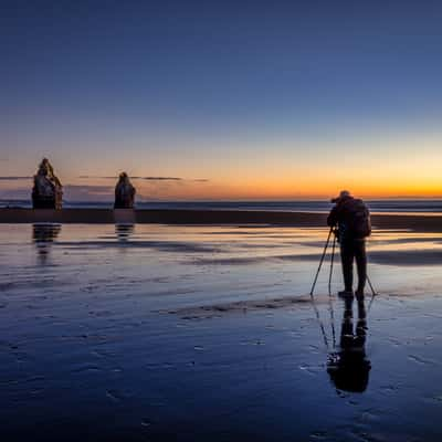 The Three Sisters,Tongaporutu Beach, North Island, New Zealand