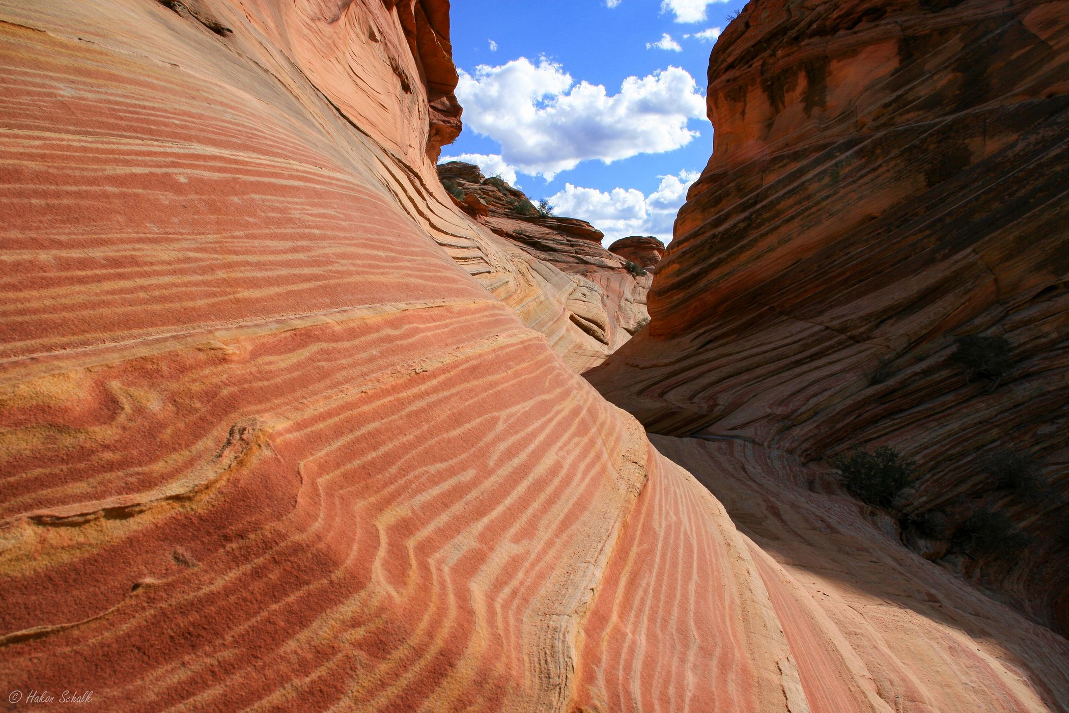 The Wave, USA