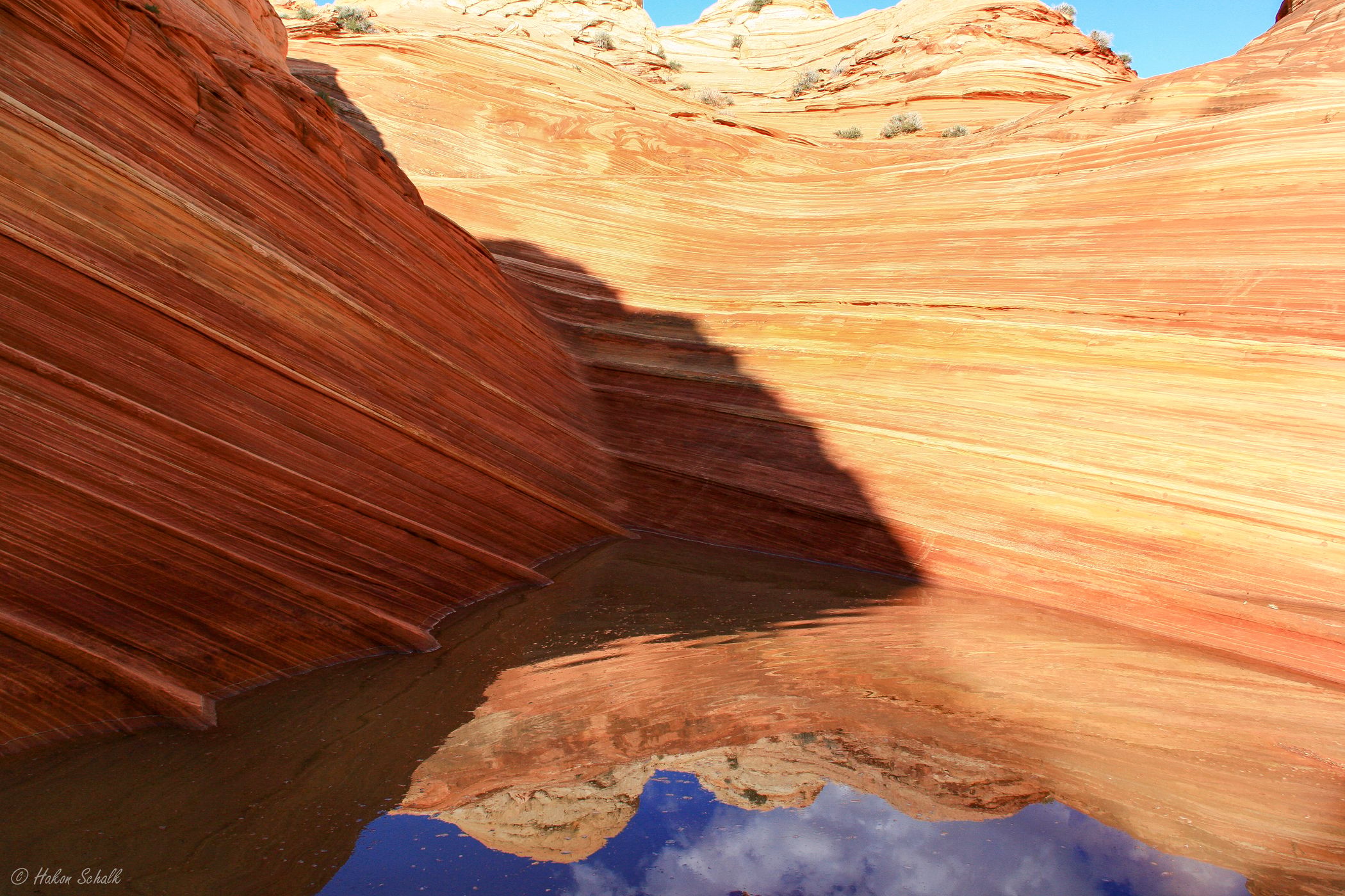 The Wave, USA