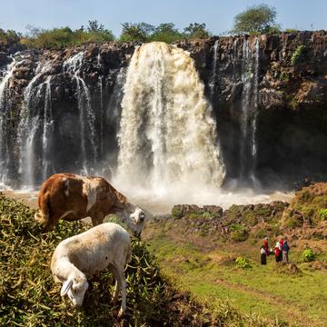 Tiss Abay Falls, Ethiopia