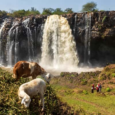 Tiss Abay Falls, Ethiopia