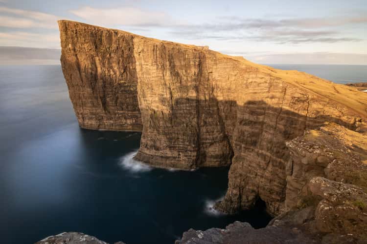 Trælanípa