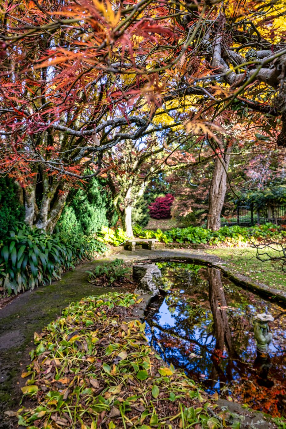 Tūpare Gardens, New Plymouth, North Island, New Zealand