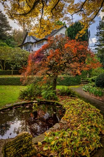 Tūpare Gardens, New Plymouth, North Island