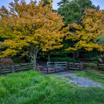 Tūpare Gardens, New Plymouth, North Island, New Zealand