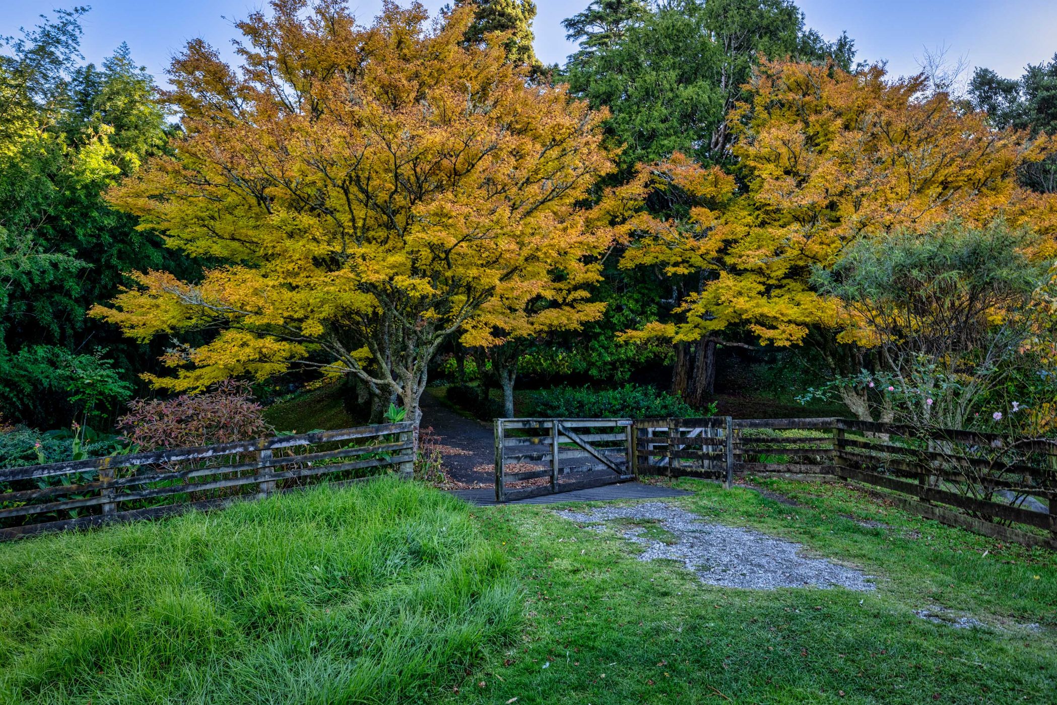 Tūpare Gardens, New Plymouth, North Island, New Zealand
