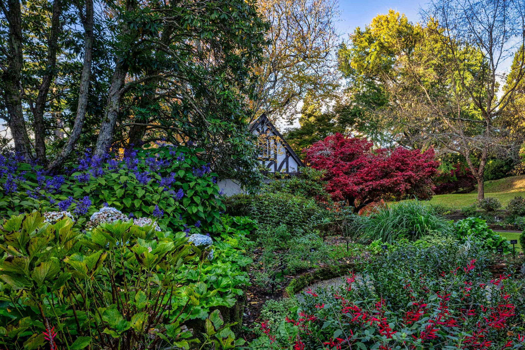 Tūpare Gardens, New Plymouth, North Island, New Zealand