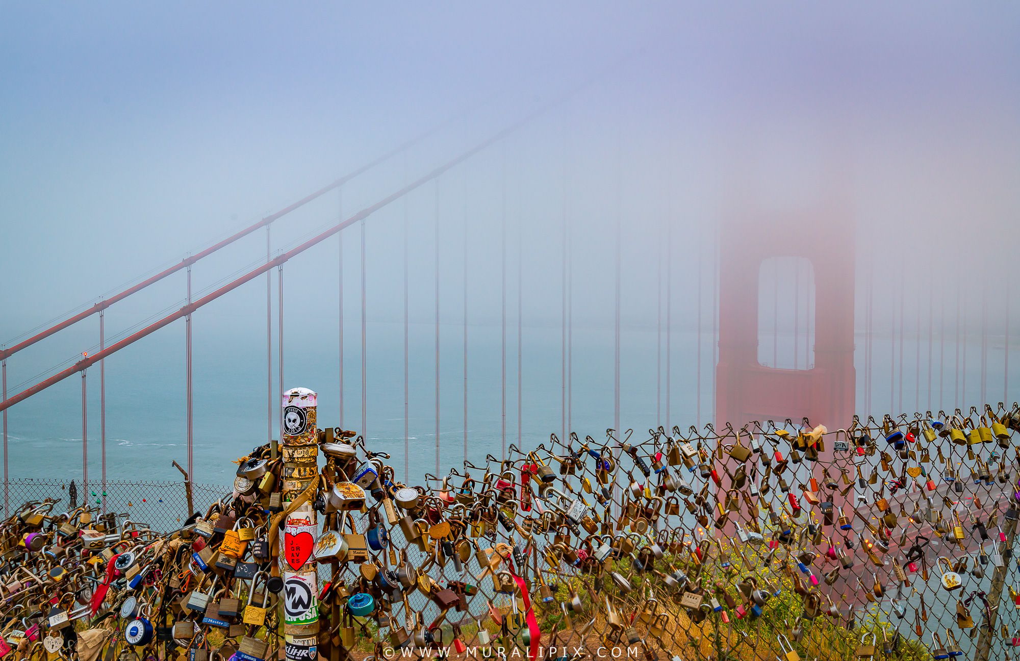 View of the Golden Gate Bridge, San Francisco, USA