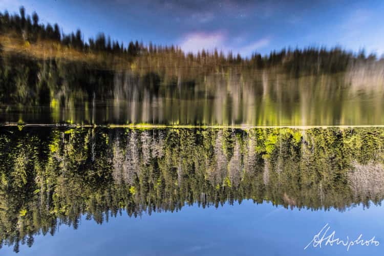 Wildsee