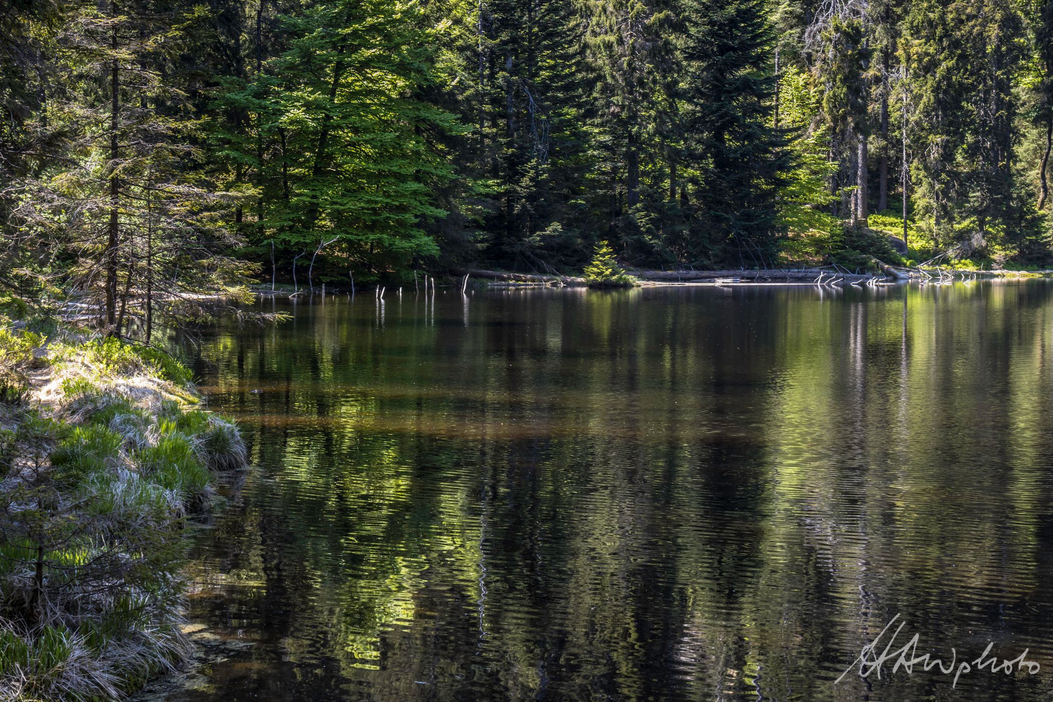 Wildsee, Germany