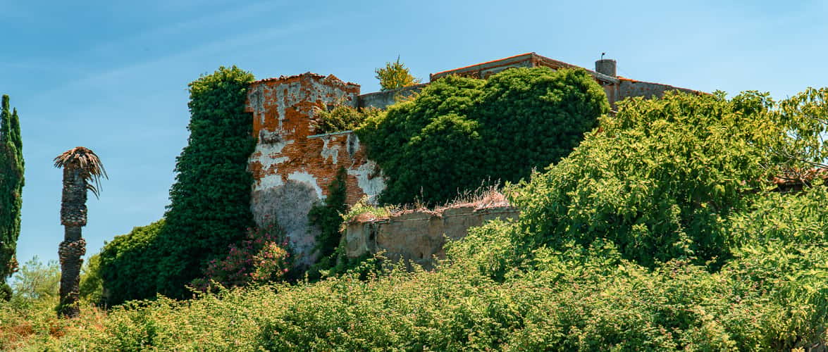 Abandoned Mansion 'Villa Eleonora'