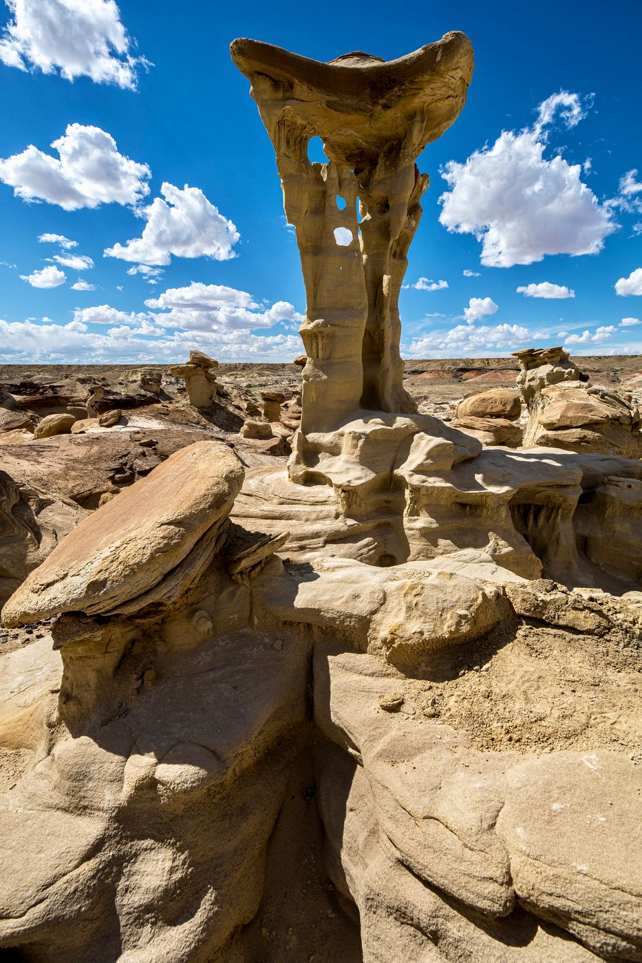 Alien Throne, USA
