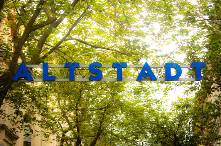 'Altstadt' cherry trees, Bonn