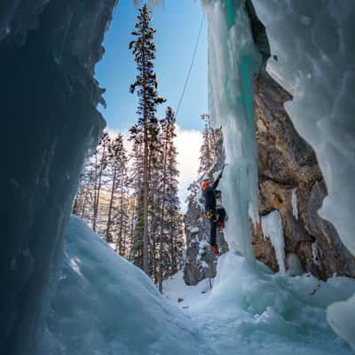 Bear spirit, Canada