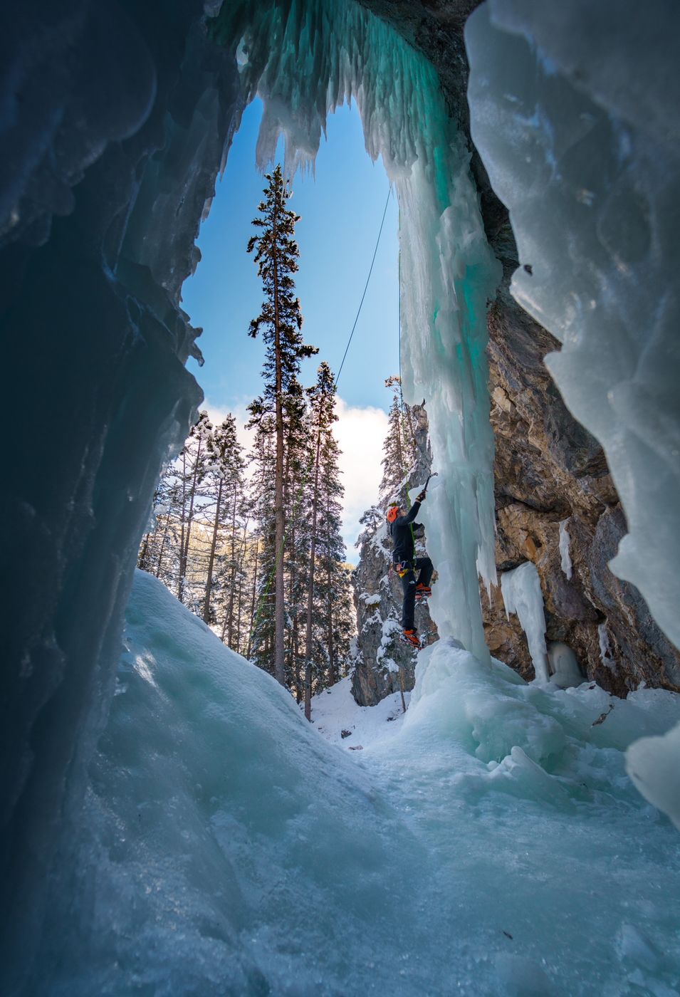 Bear spirit, Canada