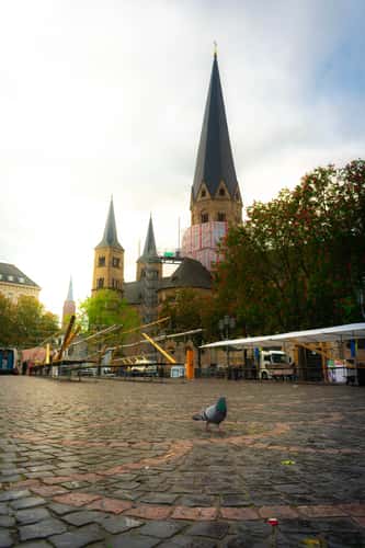 Bonner Münster