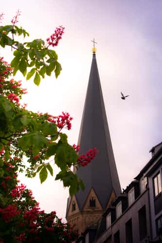 Bonner Münster