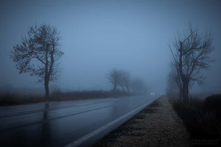 By the road 3