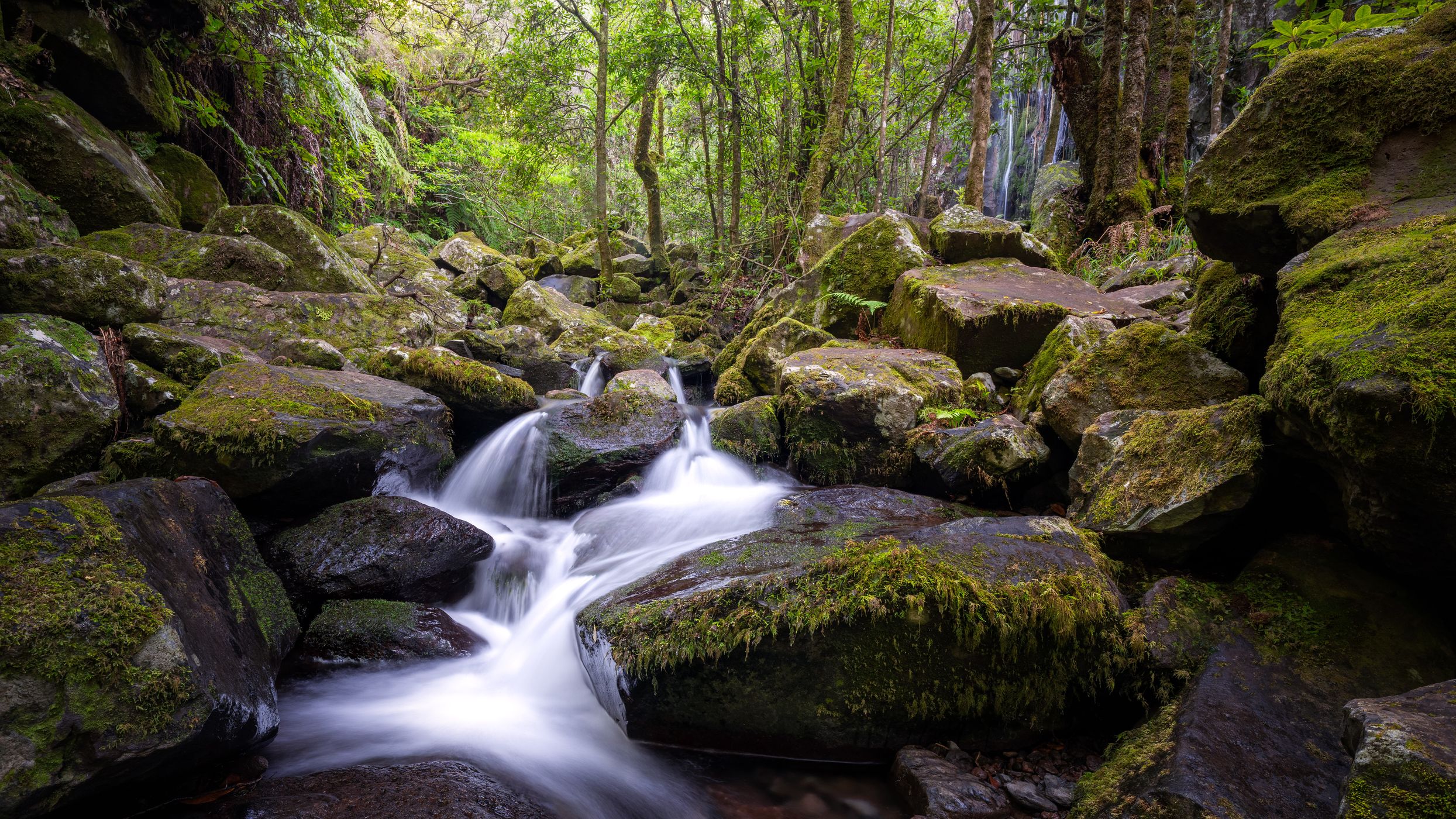 Cascata do Levada dos Cedros, Portugal