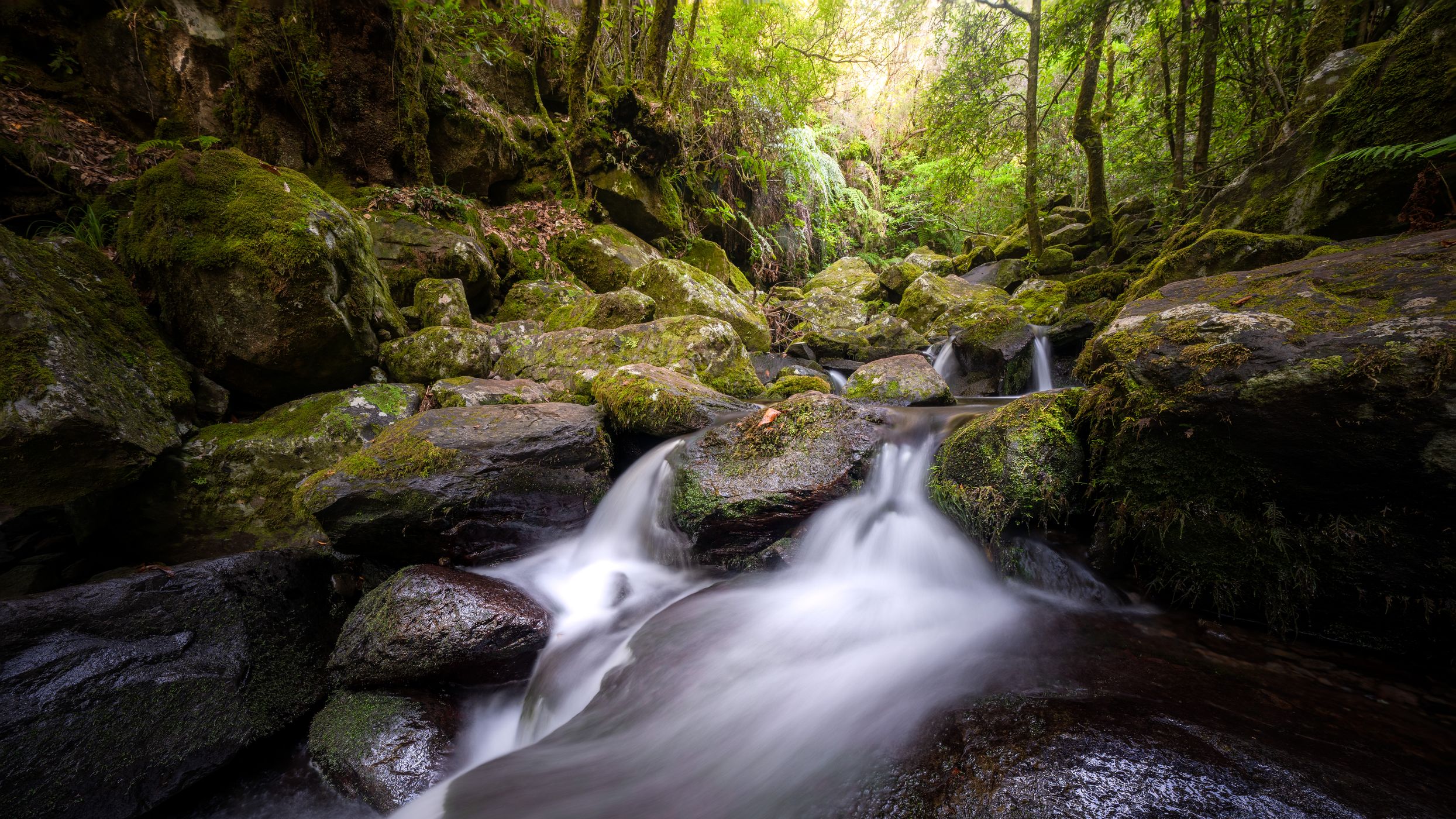 Cascata do Levada dos Cedros, Portugal