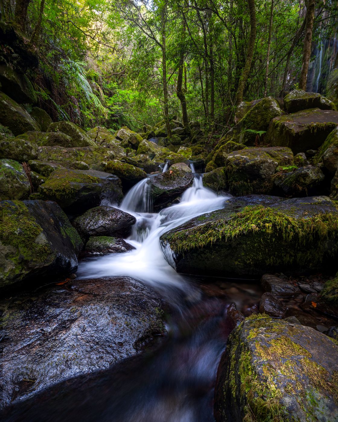Cascata do Levada dos Cedros, Portugal