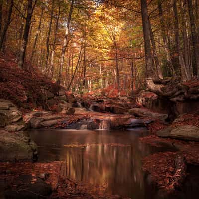 Colores de Otoño, Spain