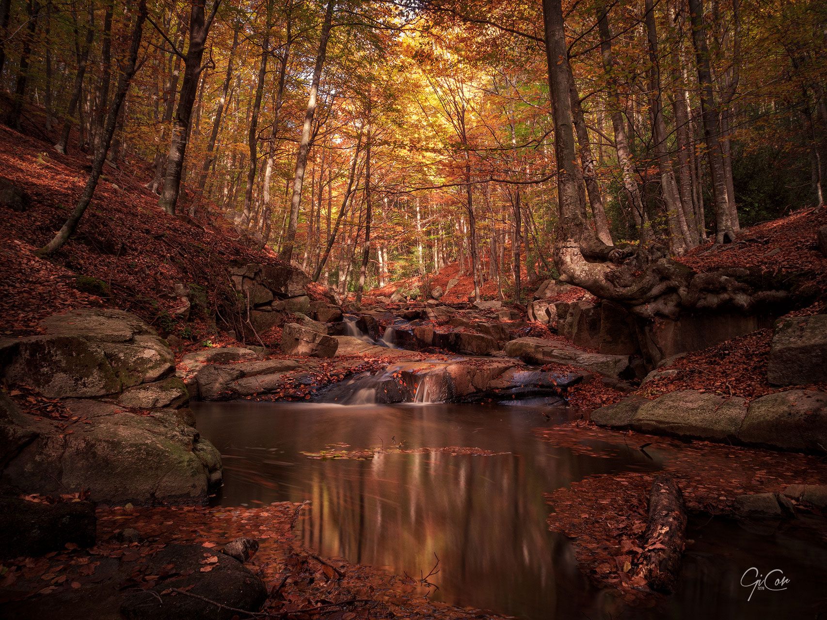 Colores de Otoño, Spain