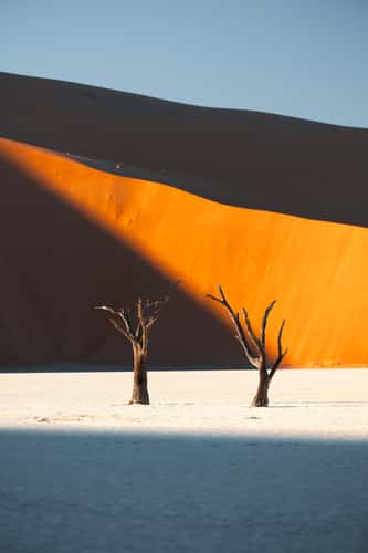 Deadvlei, Sossusvlei