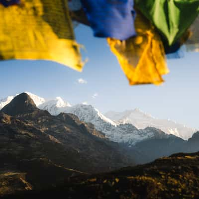 Dzongri Ridge, India