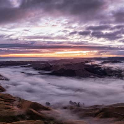 Fog sunrise Te Mata Peak, Tuki Tuki, North Island, New Zealand