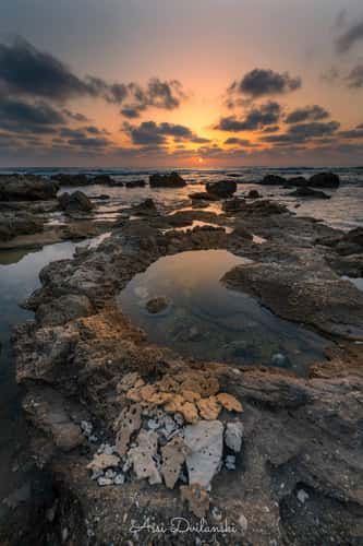 Hedera Old Fishermen Beach