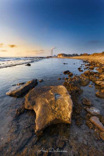 Hedera Old Fishermen Beach