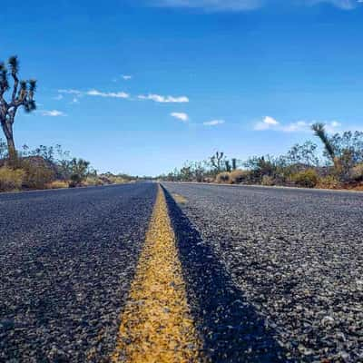 Joshua Tree, USA